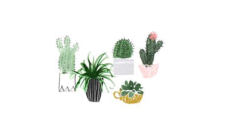 plant family