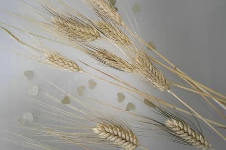 MY WEDDING INVITATION MY WEDDING INVITATION