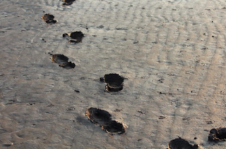Seis pasos para desarrollar el hábito de la lectura