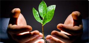 CINCO CONSEJOS PARA AHORRAR