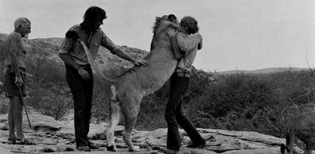 Christian, el león junto a sus eternos amigos