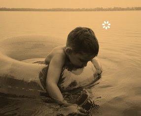 Mi planta de naranja lima - José Mauro de Vasconcelos