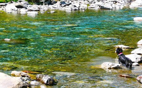 Imprimible para Organizar tus Vacaciones 2015