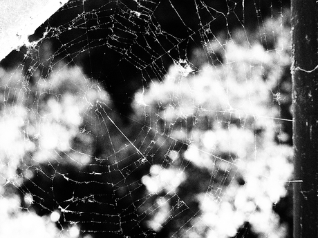 fotografia-en-blanco-y-negro