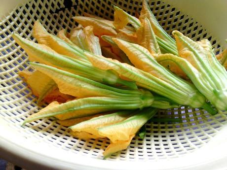 Flores de calabacin rellenas de jamón – Flores de calabacín rellenas de queso – Fiori di zucchine ripiene di ricotta e prosciutto cotto florescalabacinricotta1