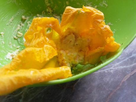 Flores de calabacin rellenas de jamón – Flores de calabacín rellenas de queso – Fiori di zucchine ripiene di ricotta e prosciutto cotto florescalabacinricotta5