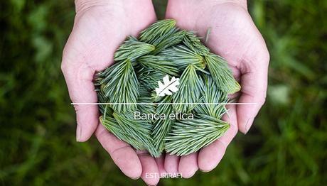 Mi experiencia con la banca etica