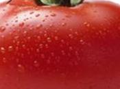 Verduras solanáceas efectos enfermedades reumáticas.