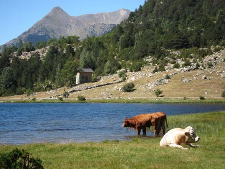 Estany de Llebreta