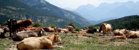 pirineos-10-cosas-que-ver-y-hacer-