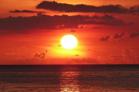 Koh Tao es Pura Vida