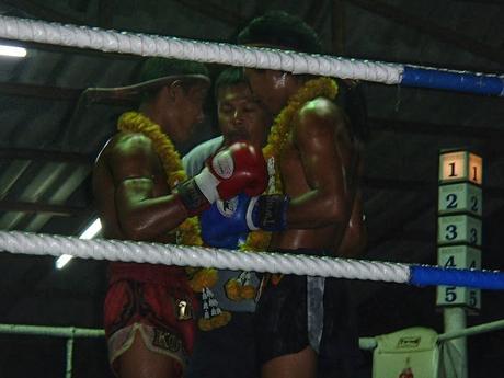 Koh Tao es Pura Vida