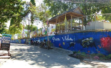 Koh Tao es Pura Vida