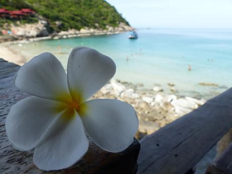 Koh Tao es Pura Vida