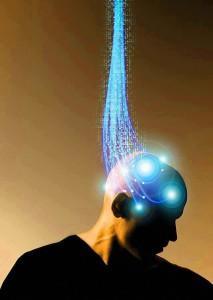 Hará , el Centro Vital hara-vital