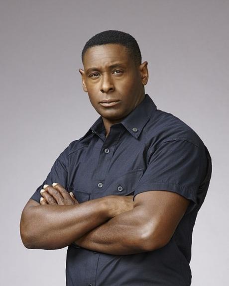 David Harewood interpreta a Hank Henshaw.