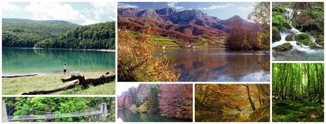 Cosmética natural con la esencia de la Selva de Irati