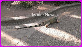 Zoológico De Barranquilla