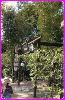 Zoológico De Barranquilla