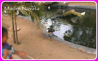 Zoológico De Barranquilla