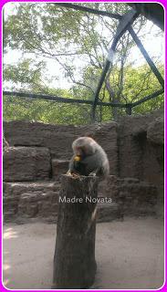Zoológico De Barranquilla