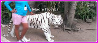 Zoológico De Barranquilla