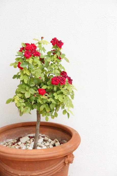 sobre fines de semana estupendos y amistad V 2.0