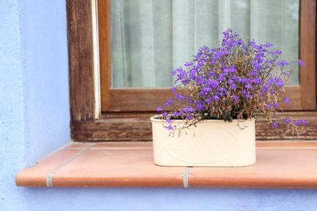 sobre fines de semana estupendos y amistad V 2.0