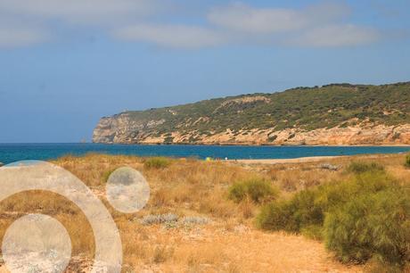 parque natural la breña marismas de barbate 10
