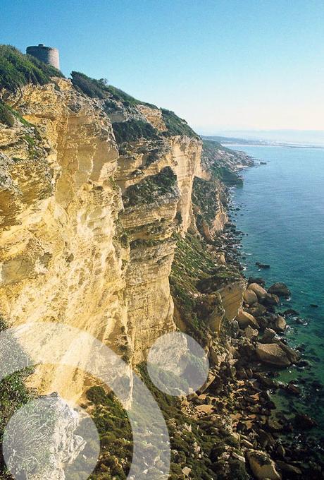 parque natural la breña marismas de barbate 1