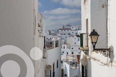 parque natural la breña marismas de barbate 18