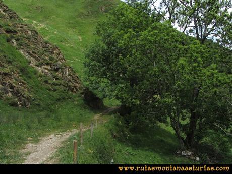 Ruta Peña Cerreos y Ubiña Pequeña: Camino entre refugio y Tuiza de Arriba