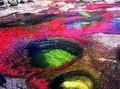 Caño Cristales