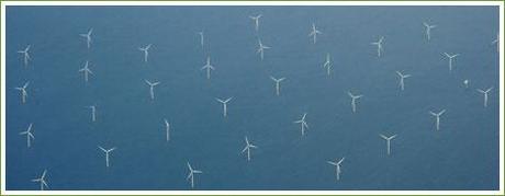 Corea del Sur se apunta al Offshore