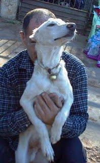 VALENCIA---URGENTÍSIMO, SAGUNTO!!