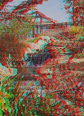 Encuentran gérmenes en lentes 3D