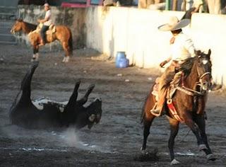 Antonio Vera Gómez, ganó con 133