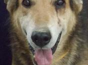 Nonno, abuelito acabó calle cuando murió