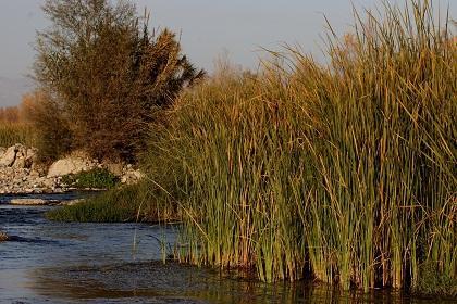 El Ayuntamiento de Zaragoza tramita el dragado de un tramo del Ebro a su paso por la ciudad