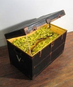 Traveling Landscapes (Paisajes Viajeros) por Kathleen Vance’s