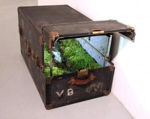 Traveling Landscapes (Paisajes Viajeros) por Kathleen Vance’s