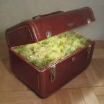 Traveling Landscapes (Paisajes Viajeros) por Kathleen Vance’s