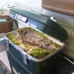 Traveling Landscapes (Paisajes Viajeros) por Kathleen Vance’s