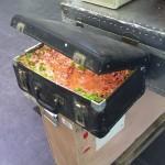 Traveling Landscapes (Paisajes Viajeros) por Kathleen Vance’s