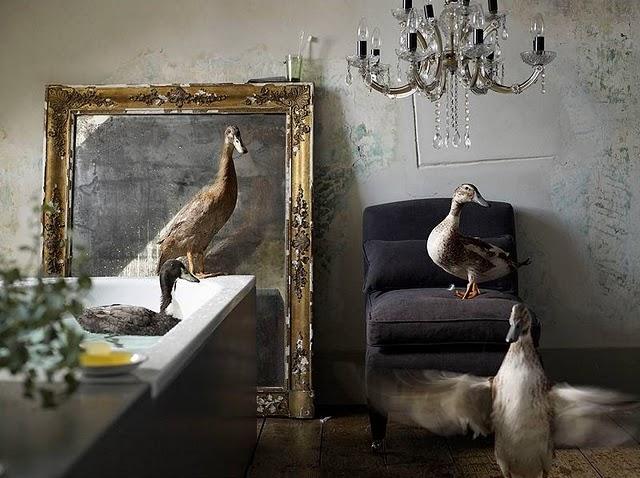 Habitación con baño: inspiración romántica