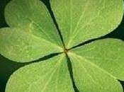 paso residente Psicología Clínica Unidad Subagudos