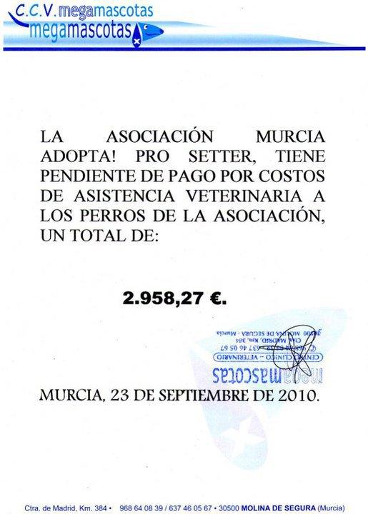 La Asociacion Murcia Adopta necesita ayuda o se hunden
