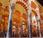 Mezquita Córdoba