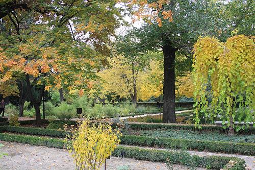 colores del otoño