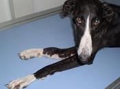 Alba, esos ojos dicen todo